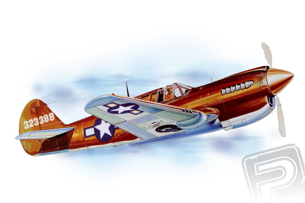 Levně P - 40 Warhawk 711 mm Guillow